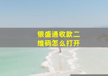 银盛通收款二维码怎么打开