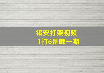 锡安打架视频1打6是哪一期