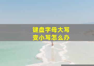 键盘字母大写变小写怎么办