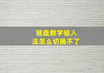 键盘数字输入法怎么切换不了