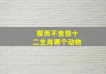 锲而不舍指十二生肖哪个动物