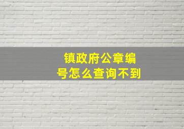 镇政府公章编号怎么查询不到