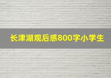 长津湖观后感800字小学生