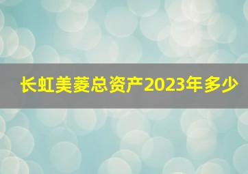 长虹美菱总资产2023年多少