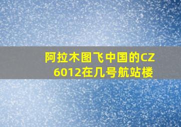 阿拉木图飞中国的CZ6012在几号航站楼