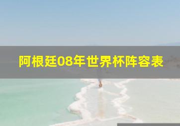 阿根廷08年世界杯阵容表