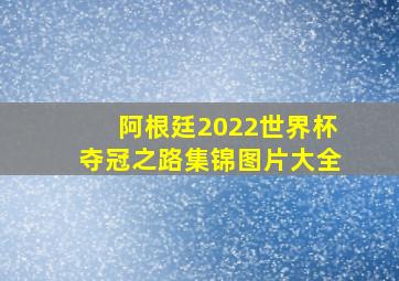 阿根廷2022世界杯夺冠之路集锦图片大全