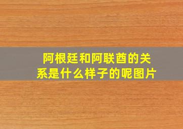 阿根廷和阿联酋的关系是什么样子的呢图片