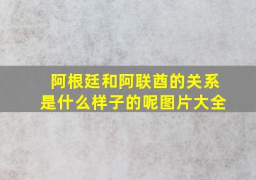 阿根廷和阿联酋的关系是什么样子的呢图片大全