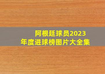 阿根廷球员2023年度进球榜图片大全集