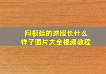 阿根廷的球服长什么样子图片大全视频教程