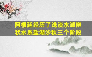 阿根廷经历了浅淡水湖辫状水系盐湖沙秋三个阶段