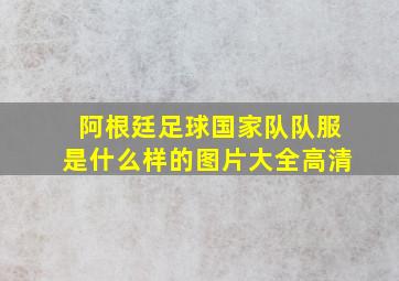 阿根廷足球国家队队服是什么样的图片大全高清