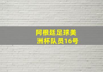 阿根廷足球美洲杯队员16号