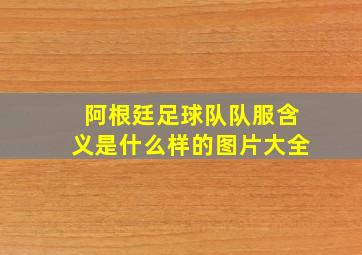 阿根廷足球队队服含义是什么样的图片大全