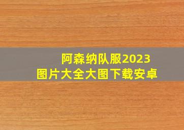 阿森纳队服2023图片大全大图下载安卓