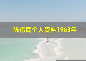 陈伟民个人资料1963年