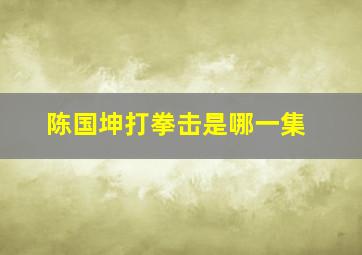 陈国坤打拳击是哪一集