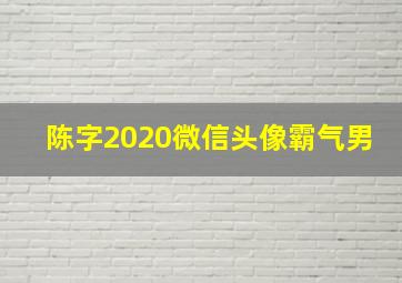 陈字2020微信头像霸气男