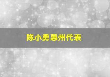 陈小勇惠州代表