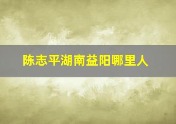 陈志平湖南益阳哪里人