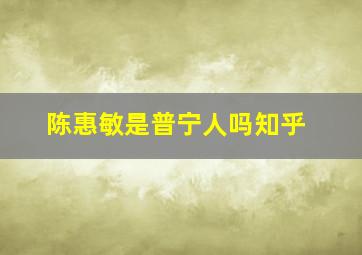 陈惠敏是普宁人吗知乎