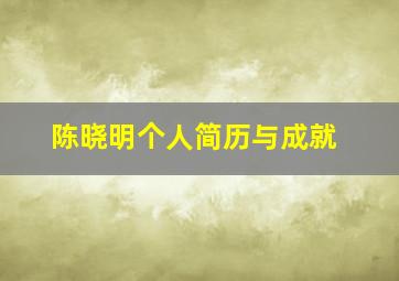 陈晓明个人简历与成就