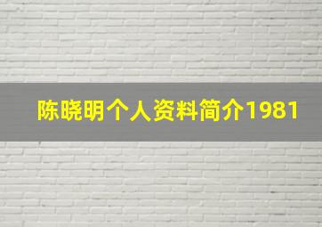 陈晓明个人资料简介1981