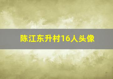 陈江东升村16人头像