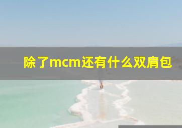 除了mcm还有什么双肩包