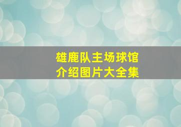 雄鹿队主场球馆介绍图片大全集