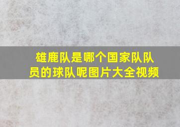 雄鹿队是哪个国家队队员的球队呢图片大全视频