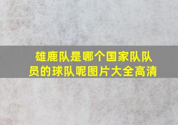 雄鹿队是哪个国家队队员的球队呢图片大全高清