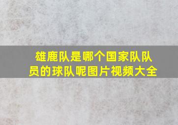 雄鹿队是哪个国家队队员的球队呢图片视频大全