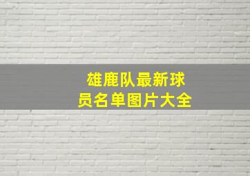 雄鹿队最新球员名单图片大全