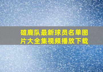 雄鹿队最新球员名单图片大全集视频播放下载