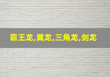 霸王龙,翼龙,三角龙,剑龙