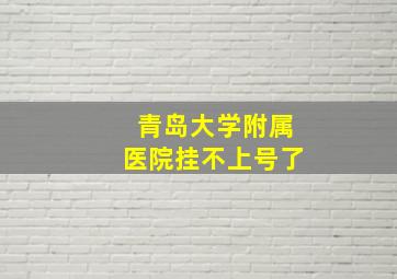 青岛大学附属医院挂不上号了