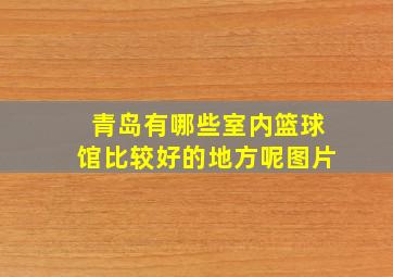 青岛有哪些室内篮球馆比较好的地方呢图片