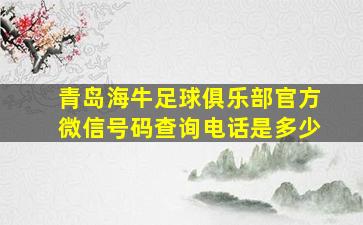 青岛海牛足球俱乐部官方微信号码查询电话是多少