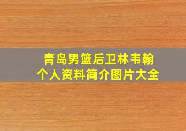 青岛男篮后卫林韦翰个人资料简介图片大全