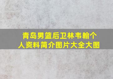 青岛男篮后卫林韦翰个人资料简介图片大全大图