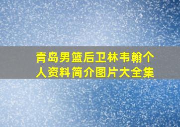 青岛男篮后卫林韦翰个人资料简介图片大全集