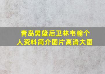 青岛男篮后卫林韦翰个人资料简介图片高清大图