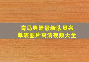 青岛男篮最新队员名单表图片高清视频大全