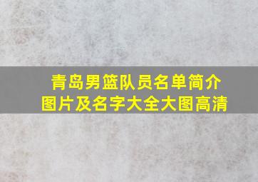 青岛男篮队员名单简介图片及名字大全大图高清