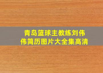 青岛篮球主教练刘伟伟简历图片大全集高清