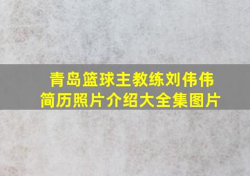 青岛篮球主教练刘伟伟简历照片介绍大全集图片