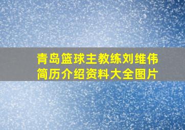 青岛篮球主教练刘维伟简历介绍资料大全图片