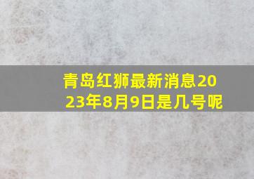 青岛红狮最新消息2023年8月9日是几号呢